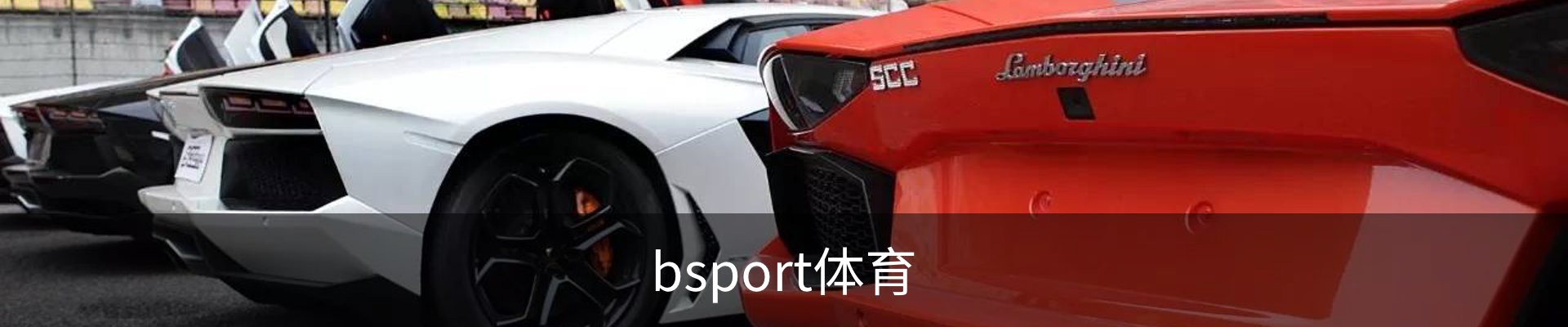 bsport体育